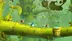 اکانت قانونی Rayman Legends برای PS5 و PS4